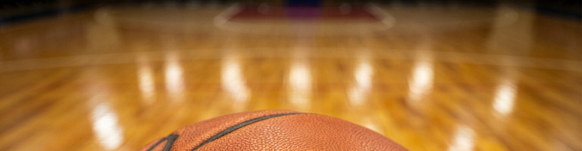 新闻资讯